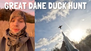 Duck Hunting in Denmark (Ande - og Fasanjagt + lidt Pramjagt)