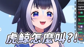 【Shylily】虎鯨怎麼叫｜Vtuber中文字幕