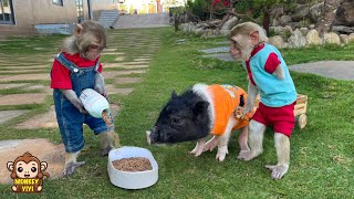 The 365 day process of baby monkeys YiYi and YinYin taking care of Ủn Ỉn piglet