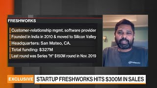 Software Startup Freshworks Not in a Rush to Raise Capital: CEO