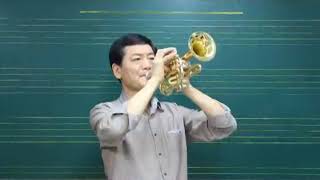 송년음악 모음(4곡) / 트럼펫 연주 h.y choi /Bidding the old year out music Collection/Trumpet Solo h.y choi