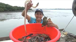 小池赶海抓到一条名贵金黄海鳝，螃蟹都是超大的，今天收获不错