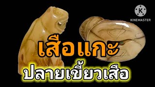 เขี้ยวเสือหลวงพ่อปาน (ตอนที่ 2) เขี้ยวเสือสาริกา (ทำจากปลายเขี้ยวเสือ)