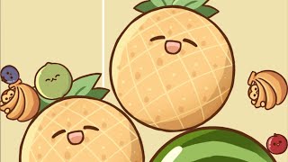 2 WATERMELON MONKEYLAND / QS WATERMELON /  put together 2 watermelons!!