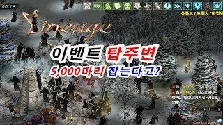 리니지 탑 주변 몬스터 5000 마리 잡는게 가능하다고?🔵 마법인형 Can you grab 5000 monsters around Lineage Tower?