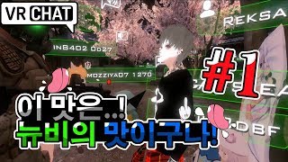 [VRChat] VR챗에 한국인 뉴비가 왔다면? #1