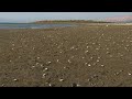 Water level of the Sea of Galilee keeps dropping due to drought