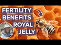 Does Royal Jelly Supplement Help You Get Pregnant Faster? | Dr. Lora Shahine Explores