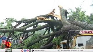 സംസ്ഥാനത്ത് മഴയിൽ വ്യാപക നാശ നഷ്ടം| RAIN