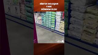 Bim'de dolaşan fare gündem oldu #Shorts