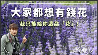 廖科溢探全球最美花海！這些夢幻秘境你去過幾個？｜China/ Korea/Singapore｜#夢幻花海 #花卉 #廖科溢