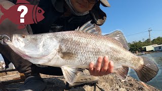 (屏東休閒池)林邊大金池。釣金目鱸，可以釣路亞喔!｜ Taiwan Fishing