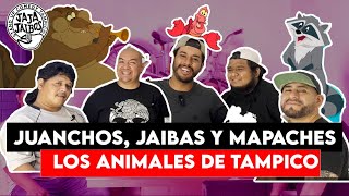 LOS ANIMALES DE 