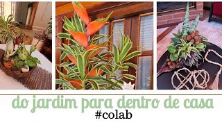 Do jardim para dentro de casa/Arranjos naturais com folhagens colab @olabrunasantos