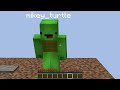 which block will mikey and jj choose in minecraft maizen