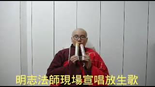 明志法師現場宣唱223放生歌