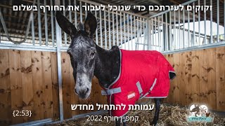 להתחיל מחדש - מתכוננים לחורף @startingoversanctuary