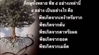 เสียงอ่าน สมถะ-วิปัสสนา เมตตาธรรมโดยภิกขุเอเอ (บทที่ ๗๘)ที่ตั้งอาศัยของวิญญาณ