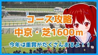 【5分でわかるコース攻略！】中京芝1600ｍ【シンザン記念】