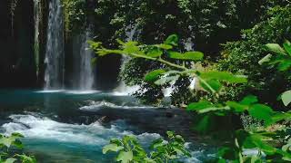 1 HOURS Relaxing Music with Water Sounds Meditation