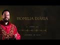 homilia diária liturgia de hoje palavra do dia padre adriano zandoná