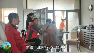 第二季（245）嘎爸终于出院，家人想让他在城里养病，固执的他一心回草原！