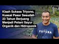 Kisah Sukses Triyono, Kuasai Pasar Sesudah 23 Tahun Berjuang Jadi Petani Sayur Organik & Hidroponik