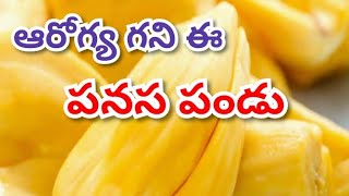 అయిర్వేదం లో పనసపండు ను ఆరోగ్య గాని అని ఎందుకు అంటారో తెలుసుకోండి..!