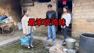 搞笑小表妹：最笨收鸡妹