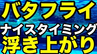 【バタフライ】浮き上がり【スムーズに泳ぎに繋ぐ】コツ・テクニック（クロールや平泳ぎも！）