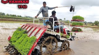 Yanmar Vp6D paddy Transplanter