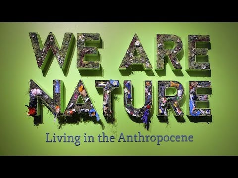 Are we now living in the Anthropocene?