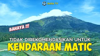 Sukomakmur Sebuah Desa Di Lereng Gunung Sumbing Yang Lagi Viral