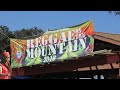 STEEL PULSE | BLUES DANCE RAID | LIVE | REGGAE ON THE MOUNTAIN | JULY 2016 | TOP CANYON | CALIFORNIA