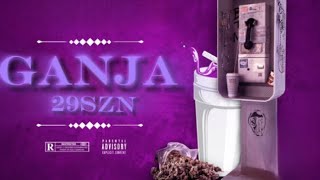 29SZN - “GANJA” Prod. @tylianmtb (Official Video Visuals)