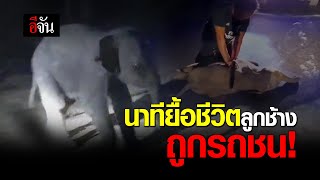 นาทียื้อชีวิตลูกช้าง ถูกรถชน! | อีจัน EJAN