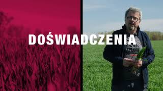 Styczniowa lustracja pól rzepaku – czyli czas pomyśleć o wiosennej wegetacji