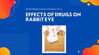 Effects of Drugs on Rabbit eye