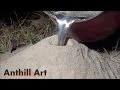 Casting a Fire Ant Colony with Molten Aluminum (Cast #043) Casting a Fire Ant Colony with Molten Aluminum (Cast #043)