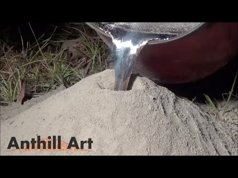 Casting a Fire Ant Colony with Molten Aluminum (Cast #043) Casting a Fire Ant Colony with Molten Aluminum (Cast #043)