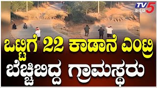 Wild Elephants Caught Crossing Road In Sakleshpur | ಸಕಲೇಶಪುರದಲ್ಲಿ ಮುಂದುವರೆದ ಕಾಡಾನೆ ಕಾಟ | @TV5Kannada