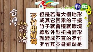 台灣諺語-歹竹出好筍