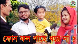 কোন ফল গাছে ধরে না ? Kon fol gase dhore na ? CMP Entertainment