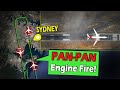 Qantas B737 ENGINE EXPLOSION ON TAKEOFF | Grass Fire Sparked!