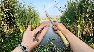 RETO de Pesca con Caña Primitiva!