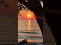 Relax and Sleep Beautiful sunset RELAXING  waves nature sound - SAVE MOTHER EARTH