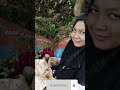 PANEN KACANG TANAH DI LAHAN SENDIRI, BEGINI RASANYA  || HARVEST PEANUTS || ASMR