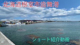 北海道根室市歯舞漁港ショート紹介ビデオ