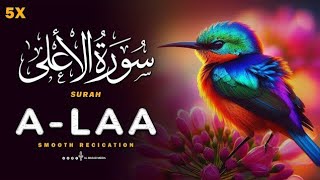 87) Surah Aala with urdu translation ┇ Quran with Urdu Translation full ┇ #Qirat ┇ IslamSearch