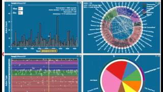 Data sonification in Visual Process Analytics